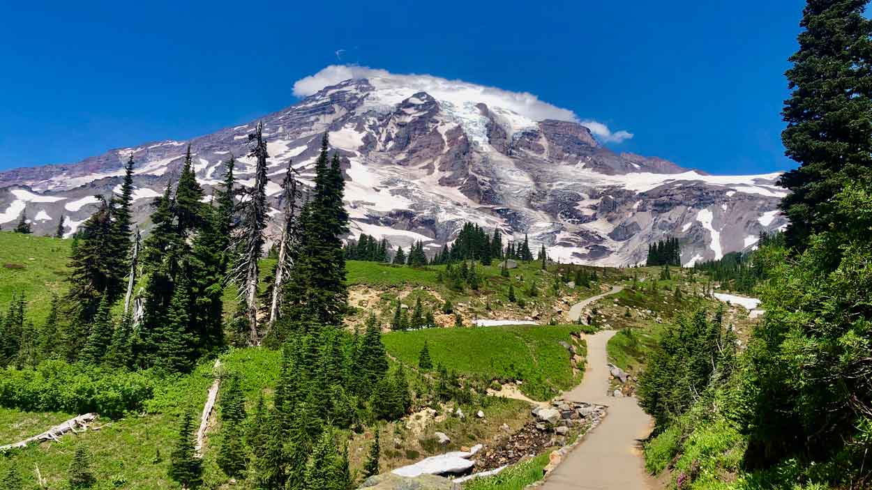 trail leading to the base of Mount Rainier